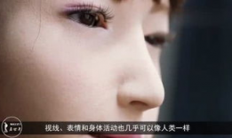 男女上床的视频